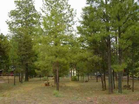 2957 Hunters Rd, Overgaard, AZ 85933 photo 1