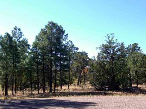 3452 Buglers Dr, Heber, AZ 85928 photo 1