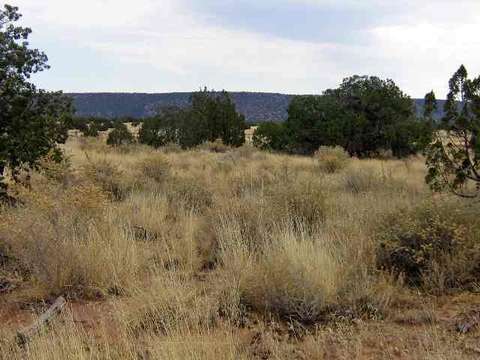 4488 Jay Rd, Snowflake, AZ 85937 photo 5