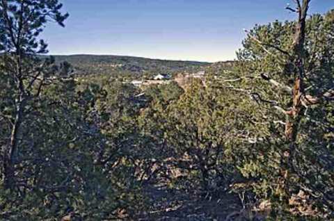 1231 S Spanish Trl, Eagar, AZ 85925 photo 4