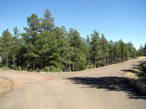 2833 Thunderbolt Cir, Overgaard, AZ 85933 photo 5