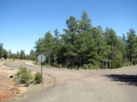 2833 Thunderbolt Cir, Overgaard, AZ 85933 photo 4