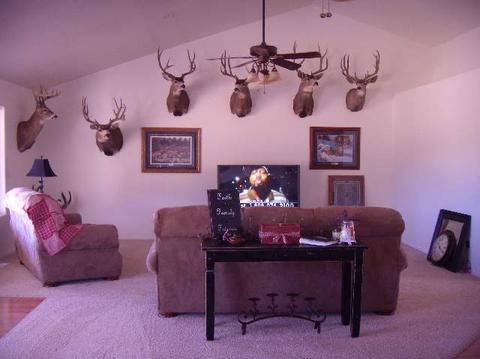 992 S Marian, Eagar, AZ 85925 photo 4