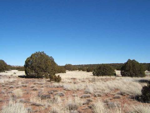 4145 Pinto Rd, Snowflake, AZ 85937 photo 2