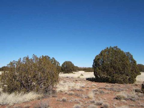 4145 Pinto Rd, Snowflake, AZ 85937 photo 3