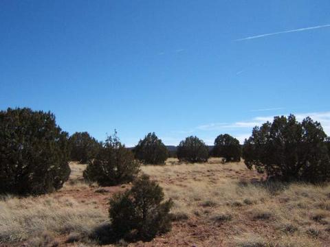 4145 Pinto Rd, Snowflake, AZ 85937 photo 1