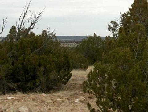 lot302 Chevelon Canyon Rnch, Heber, AZ 85928