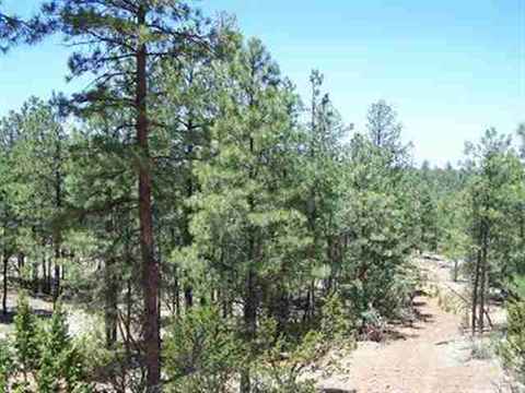 2850 Thunderbird Way, Overgaard, AZ 85933 photo 15