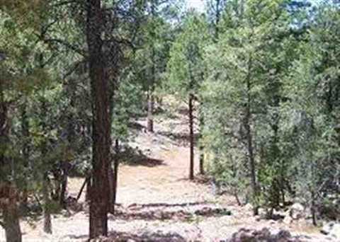 2850 Thunderbird Way, Overgaard, AZ 85933 photo 6
