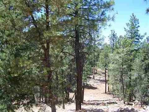 2850 Thunderbird Way, Overgaard, AZ 85933 photo 13