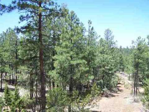 2850 Thunderbird Way, Overgaard, AZ 85933 photo 2