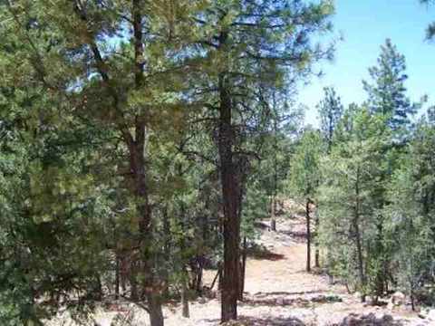2850 Thunderbird Way, Overgaard, AZ 85933 photo 1