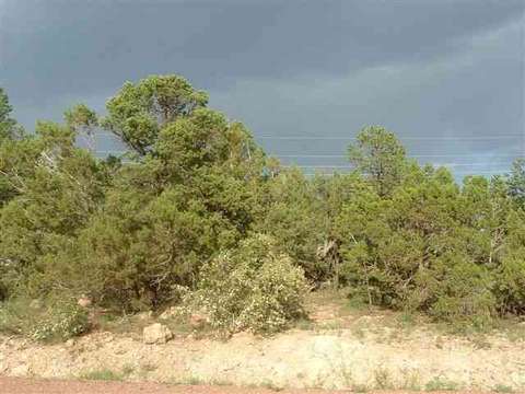 3495 Evergreen Dr, Overgaard, AZ 85933 photo 3
