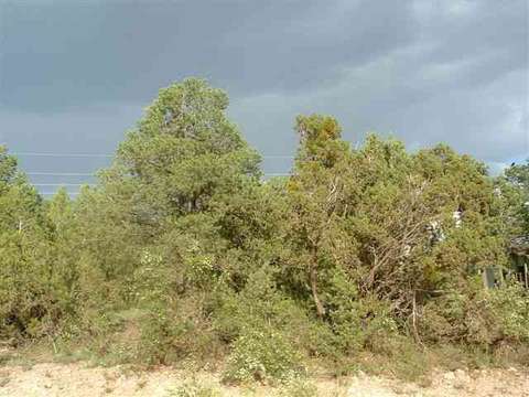 3495 Evergreen Dr, Overgaard, AZ 85933 photo 1