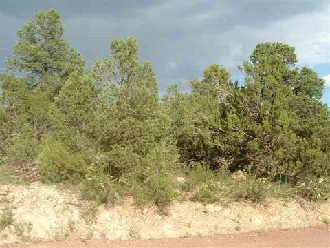 3495 Evergreen Dr, Overgaard, AZ 85933 photo 2