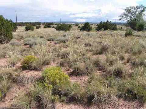 5411 Broadway Dr, Snowflake, AZ 85937 photo 1