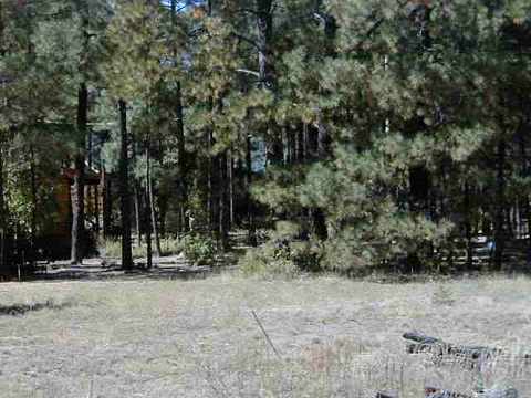 2605 Stringer Cir, Lakeside, AZ 85929 photo 2