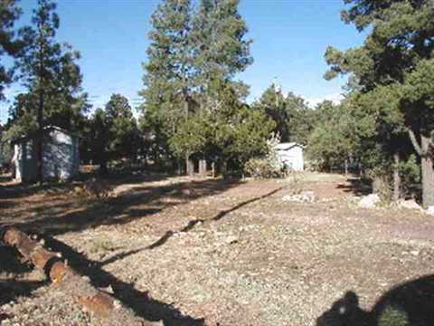 2180 Hackamore Dr, Overgaard, AZ 85933 photo 3
