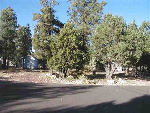 2180 Hackamore Dr, Overgaard, AZ 85933 photo 2