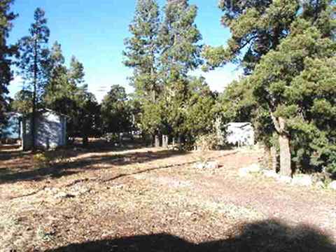 2180 Hackamore Dr, Overgaard, AZ 85933 photo 5