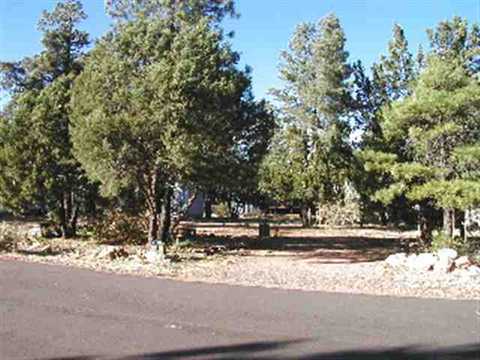2180 Hackamore Dr, Overgaard, AZ 85933 photo 1