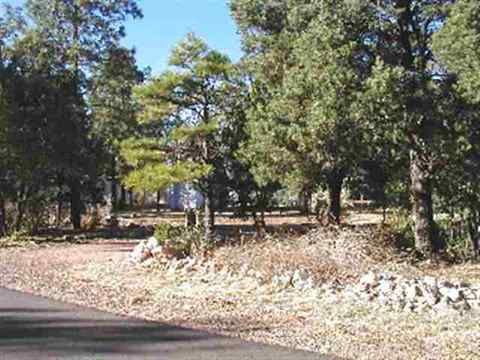 2180 Hackamore Dr, Overgaard, AZ 85933 photo 4