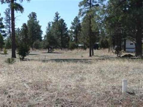 2187 Garnet Rd, Overgaard, AZ 85933 photo 1