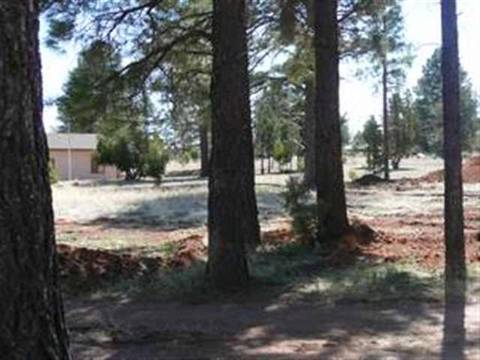 2187 Garnet Rd, Overgaard, AZ 85933 photo 2