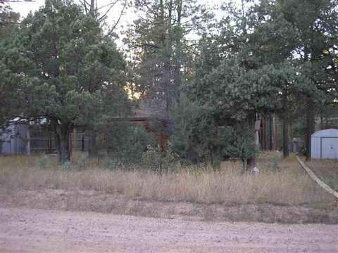 2884 Center, Overgaard, AZ 85933 photo 2