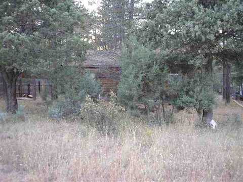 2884 Center, Overgaard, AZ 85933 photo 5