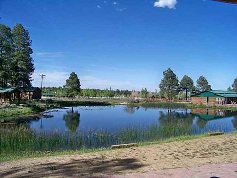 2304 Bison Ranch Trl, Overgaard, AZ 85933 photo 4
