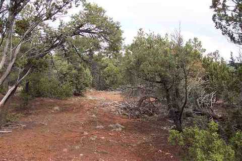 2919 Constellation Ln, Overgaard, AZ 85933 photo 1