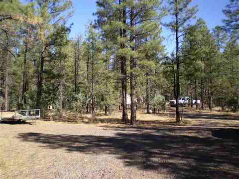 4948 Forest View Rd, Lakeside, AZ 85929 photo 2