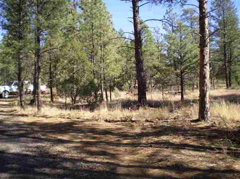 4948 Forest View Rd, Lakeside, AZ 85929 photo 3