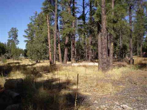 4948 Forest View Rd, Lakeside, AZ 85929 photo 1