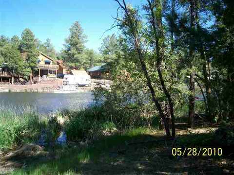 486 Willow Run, Lakeside, AZ 85929 photo 3