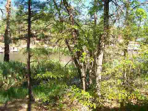 486 Willow Run, Lakeside, AZ 85929 photo 6