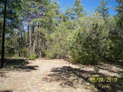 486 Willow Run, Lakeside, AZ 85929 photo 9