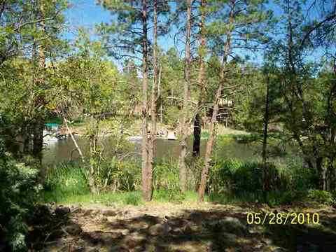 486 Willow Run, Lakeside, AZ 85929 photo 1