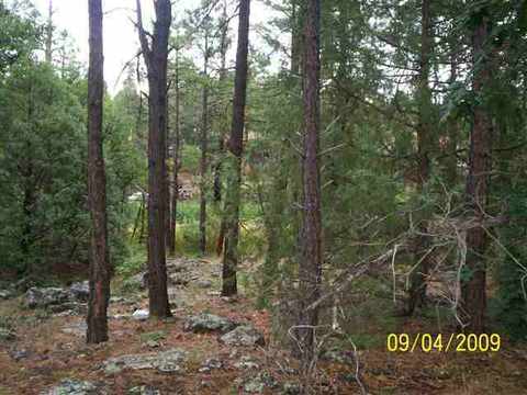 486 Willow Run, Lakeside, AZ 85929 photo 4