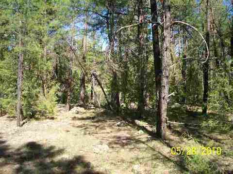 486 Willow Run, Lakeside, AZ 85929 photo 8