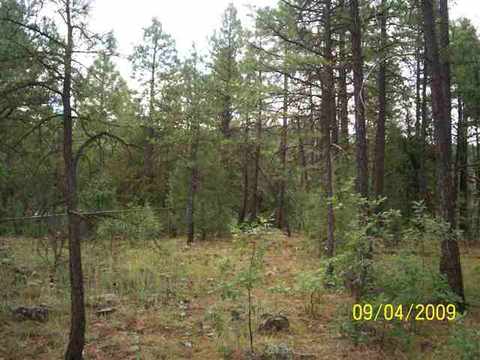 486 Willow Run, Lakeside, AZ 85929 photo 5