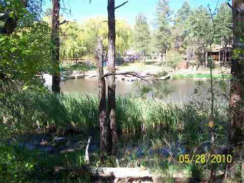 486 Willow Run, Lakeside, AZ 85929 photo 7