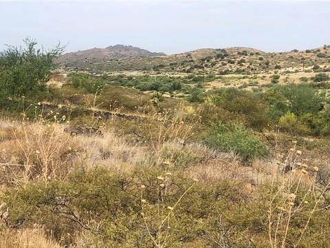 15885 E Broken Bit Rd, Mayer, AZ 86333 photo 3