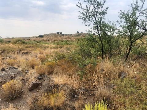 15885 E Broken Bit Rd, Mayer, AZ 86333 photo 5