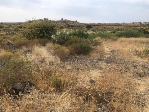 15885 E Broken Bit Rd, Mayer, AZ 86333 photo 2