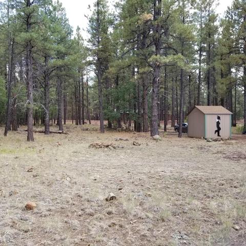 3515 E Pine Top Dr, Williams, AZ 86046 photo 6