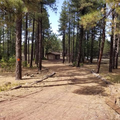 3515 E Pine Top Dr, Williams, AZ 86046 photo 1
