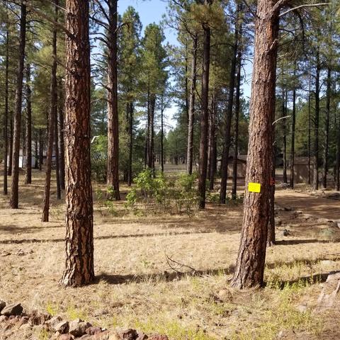 3515 E Pine Top Dr, Williams, AZ 86046 photo 2