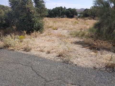 20959 E Mingus Dr, Mayer, AZ 86333 photo 1
